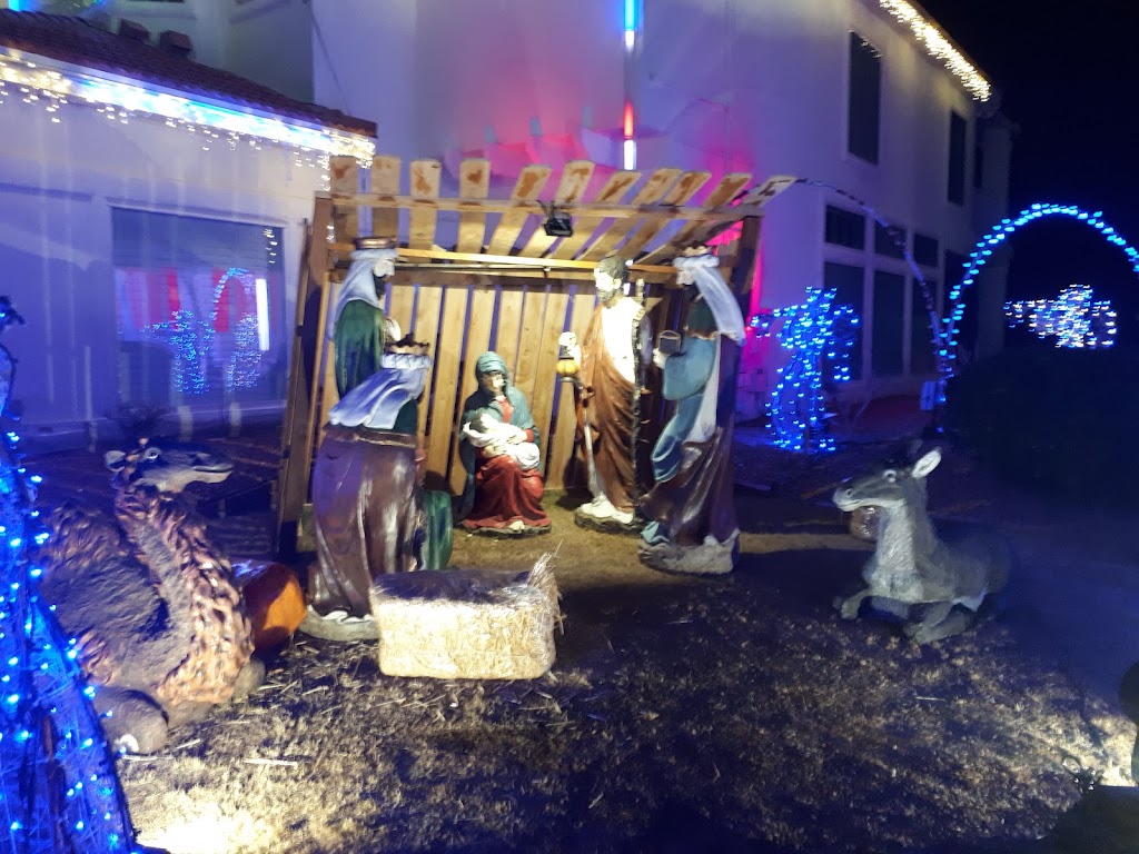 El Paso Christmas Lights | 12001 Paseo De Oro Ln, El Paso, TX 79936, USA | Phone: (915) 229-6722