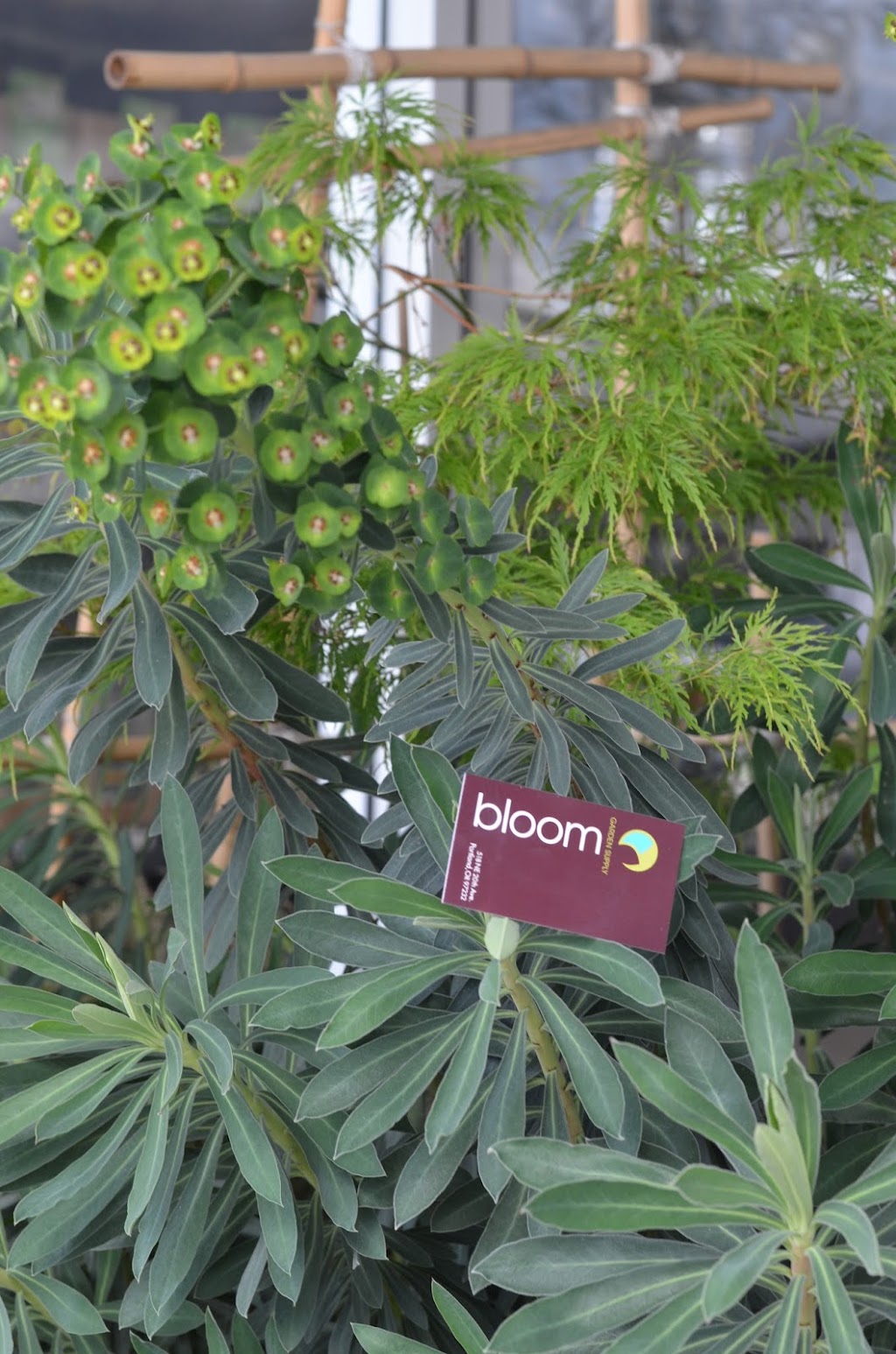 Bloom Garden Supply | 10209 SE Division St Suite 01, Portland, OR 97266, USA | Phone: (971) 255-1336