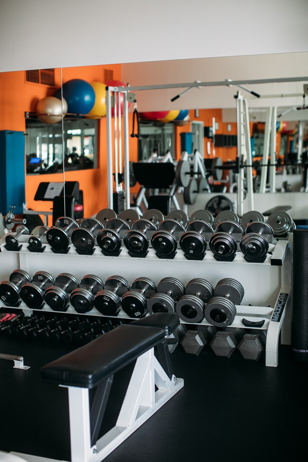 Accel Fitness | 4020 E 7th St, Long Beach, CA 90804, USA | Phone: (562) 856-5848