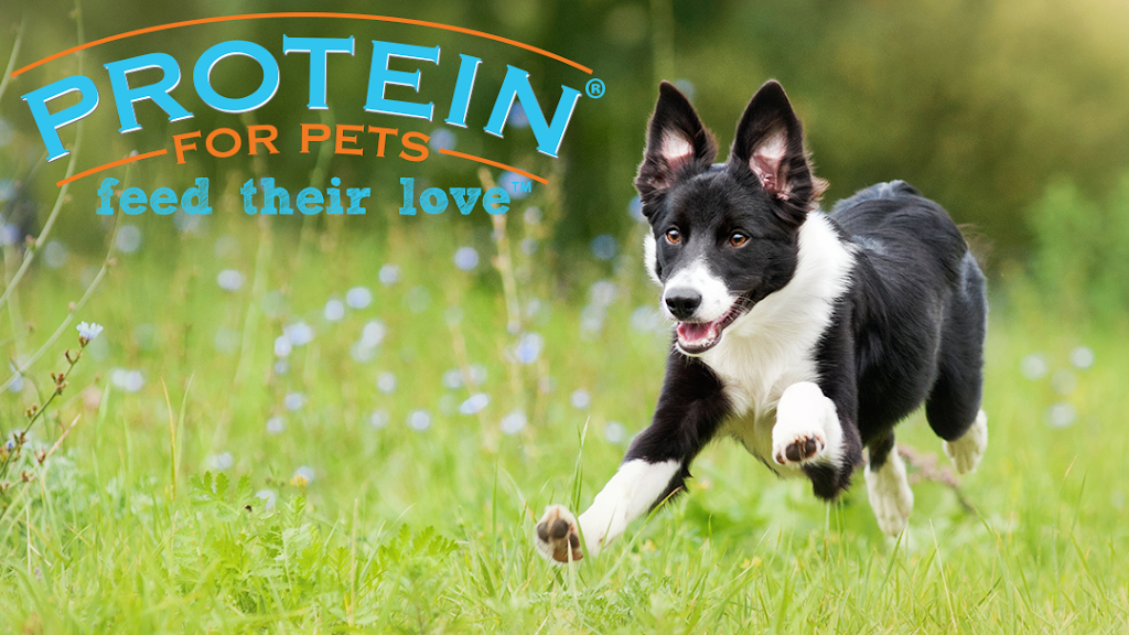 Protein for Pets | 806 Avenida Pico, San Clemente, CA 92673, USA | Phone: (805) 368-7470