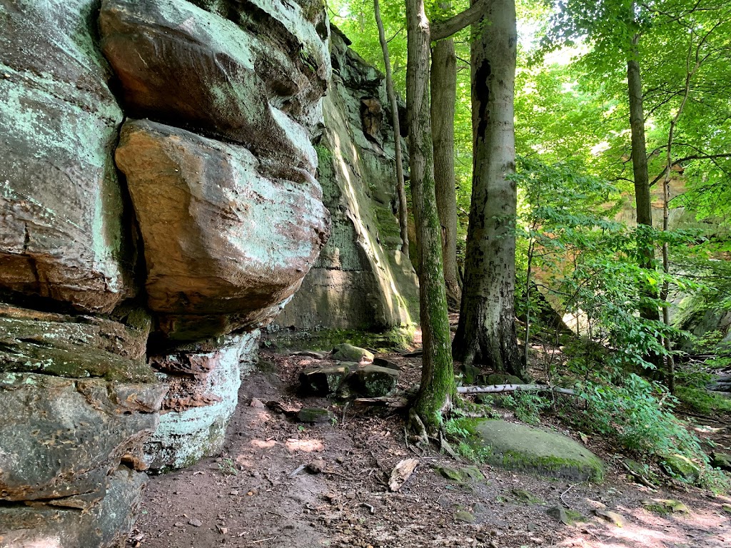 Whipps Ledges | Hinckley Lake Loop Trail, Hinckley, OH 44233, USA | Phone: (330) 278-2160