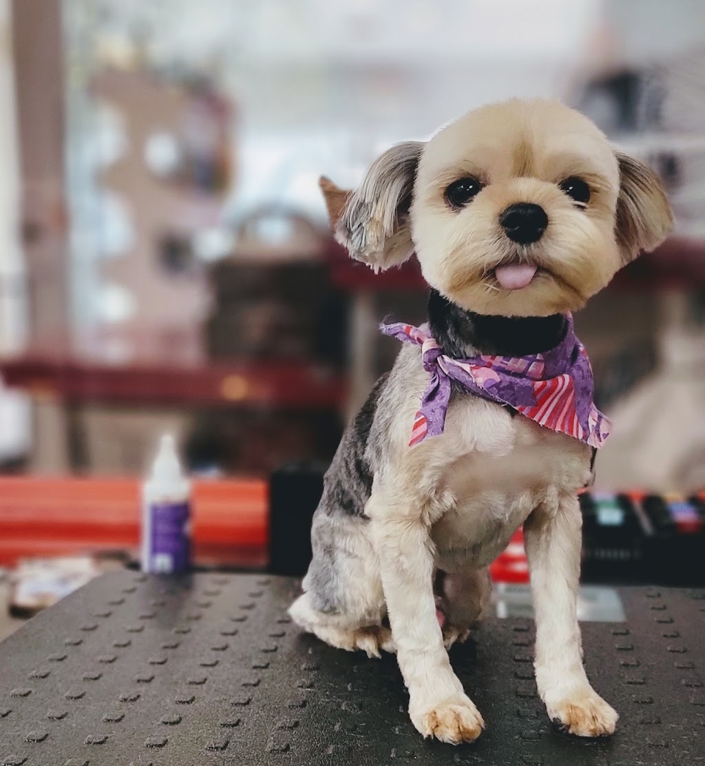Fancy Doggy-Dog Grooming and Boarding(Doggy Doggy) 애견 미용실 | 24915 Northern Blvd, Queens, NY 11362, USA | Phone: (718) 428-0717