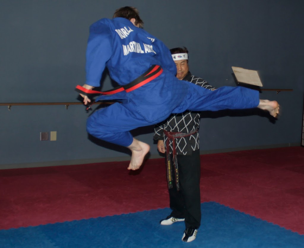 World Classic Martial Arts | 4, 3375, 1645 W Main St, Lebanon, TN 37087 | Phone: (615) 547-9606