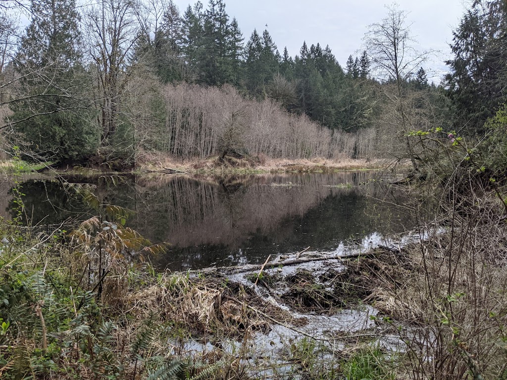 Redmond Watershed Preserve | 21760 NE Novelty Hill Rd, Redmond, WA 98053, USA | Phone: (425) 556-2900