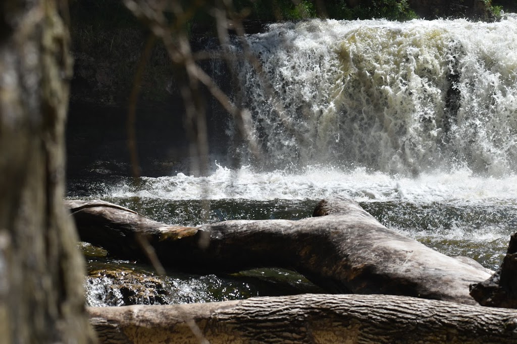 Willow River Nature Center | 020-1007-30, #000, Hudson, WI 54016, USA | Phone: (715) 386-9340