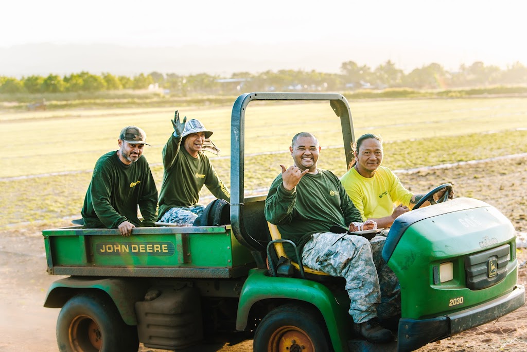 Southern Turf Hawaii | 94-840 Lanikuhana Ave, Mililani, HI 96789, USA | Phone: (808) 232-2277