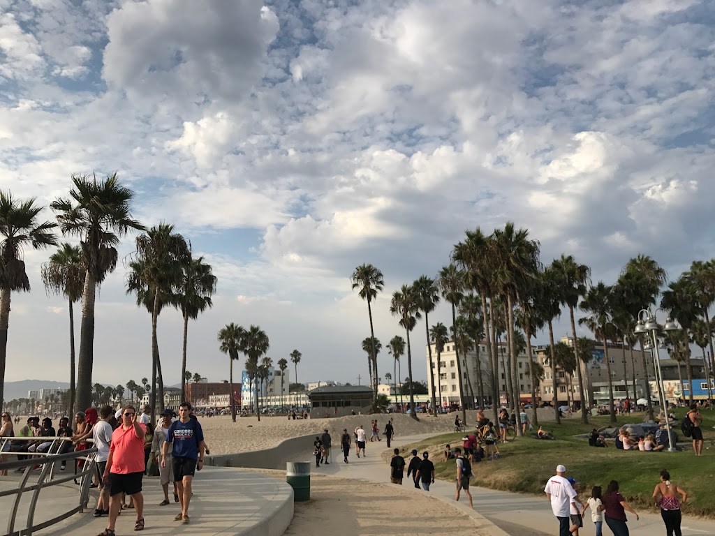 Venice Skateboarding | 8 Brooks Ave C, Venice, CA 90291, USA | Phone: (310) 314-5230