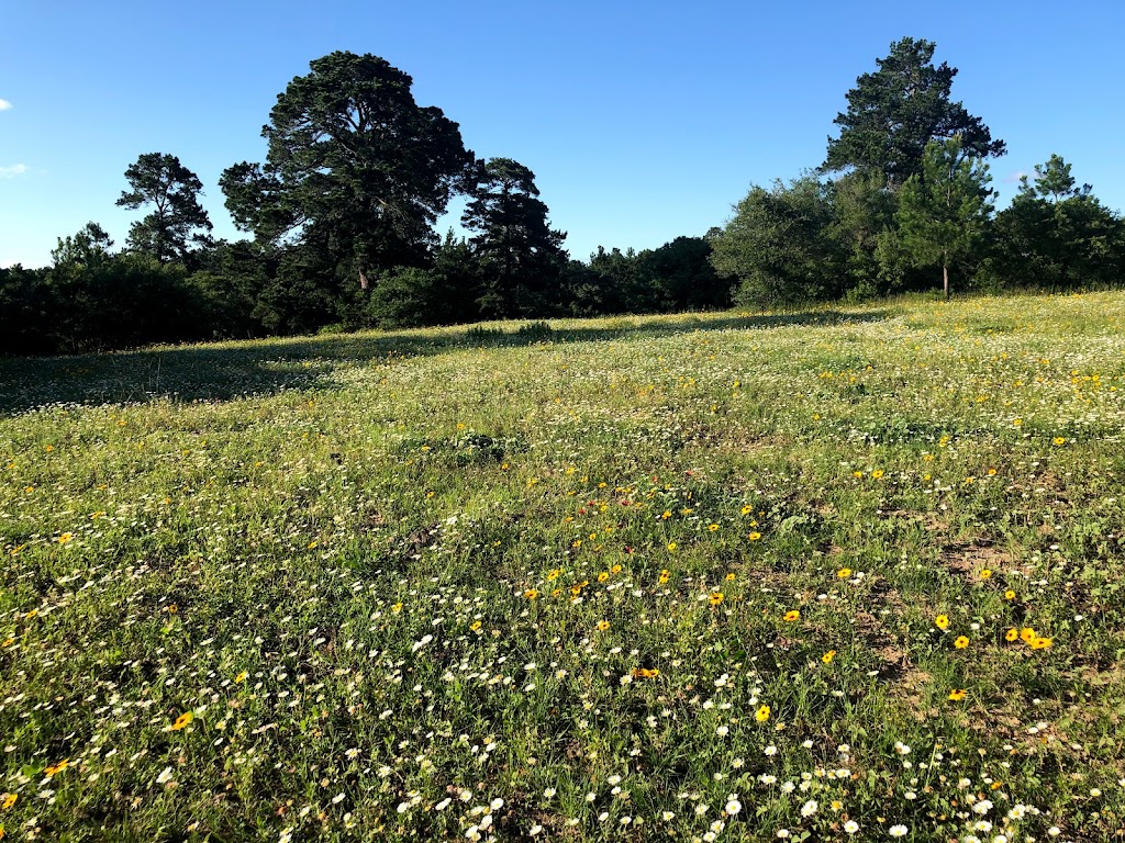 9E Ranch Cabins Lost Pines Bastrop, Daisy Cabin | 2158 TX-304 #3, Smithville, TX 78957, USA | Phone: (512) 497-9502