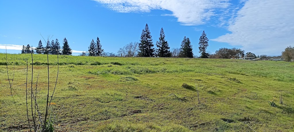 Riverbank Elementary School | 1100 Carrie St, West Sacramento, CA 95605, USA | Phone: (916) 375-7700