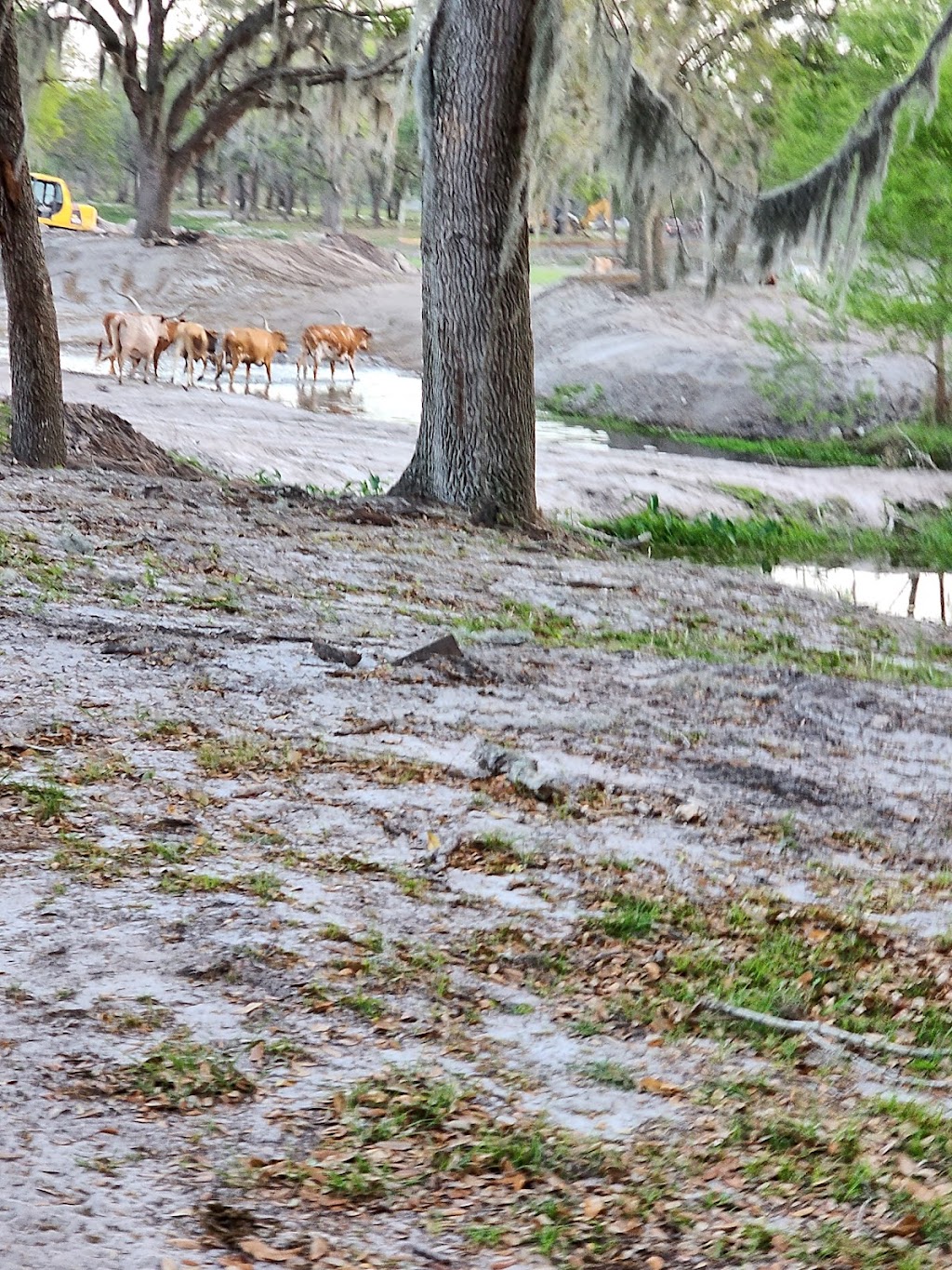 Wilderness Shores Ranch and Campground | 1329 Fish Hatchery Rd, Lakeland, FL 33801, USA | Phone: (863) 899-5147