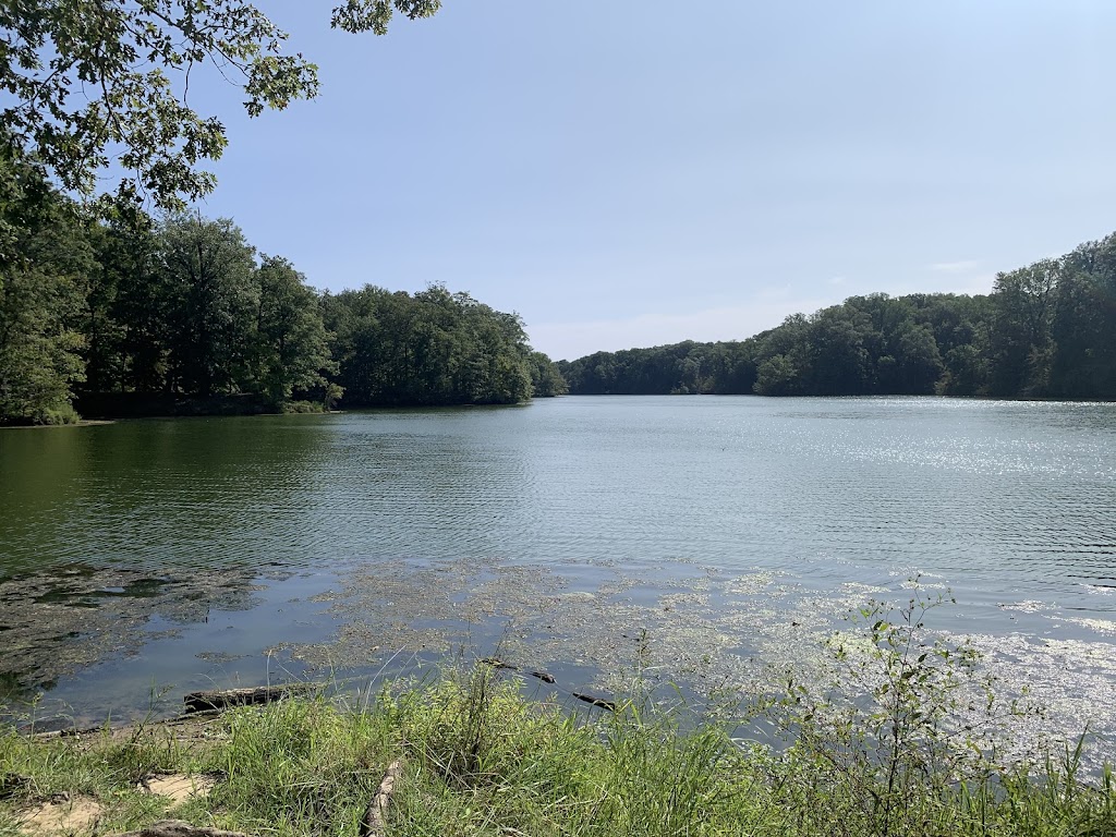 Meeman-Shelby Forest State Park Visitor Center | Meeman-Shelby State Park Visitor Center, 910 Riddick Rd, Millington, TN 38053, USA | Phone: (901) 876-5215