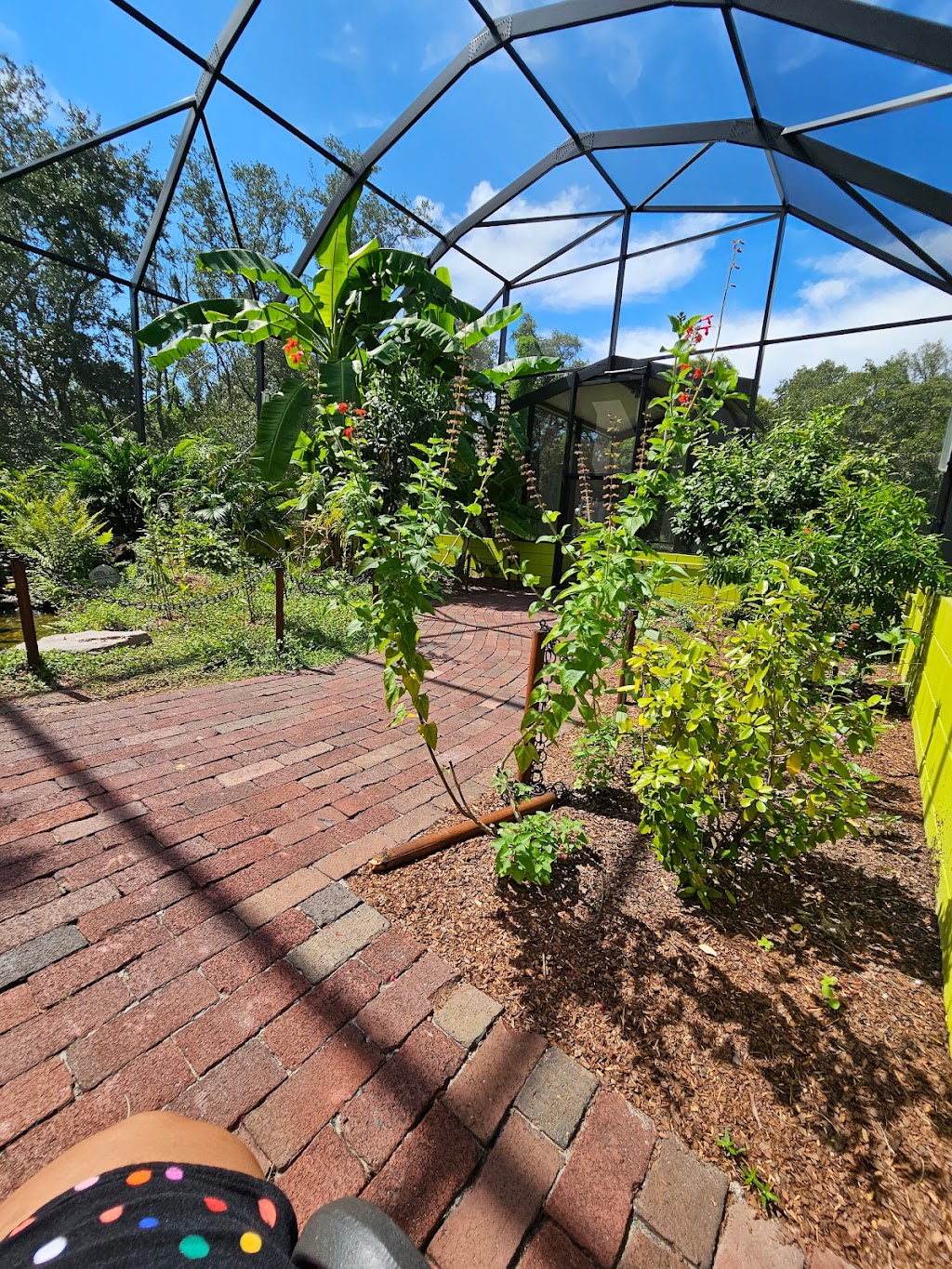 Zoey’s Butterfly House | 940 Bonnet Spgs Blvd, Lakeland, FL 33815, USA | Phone: (863) 732-7000