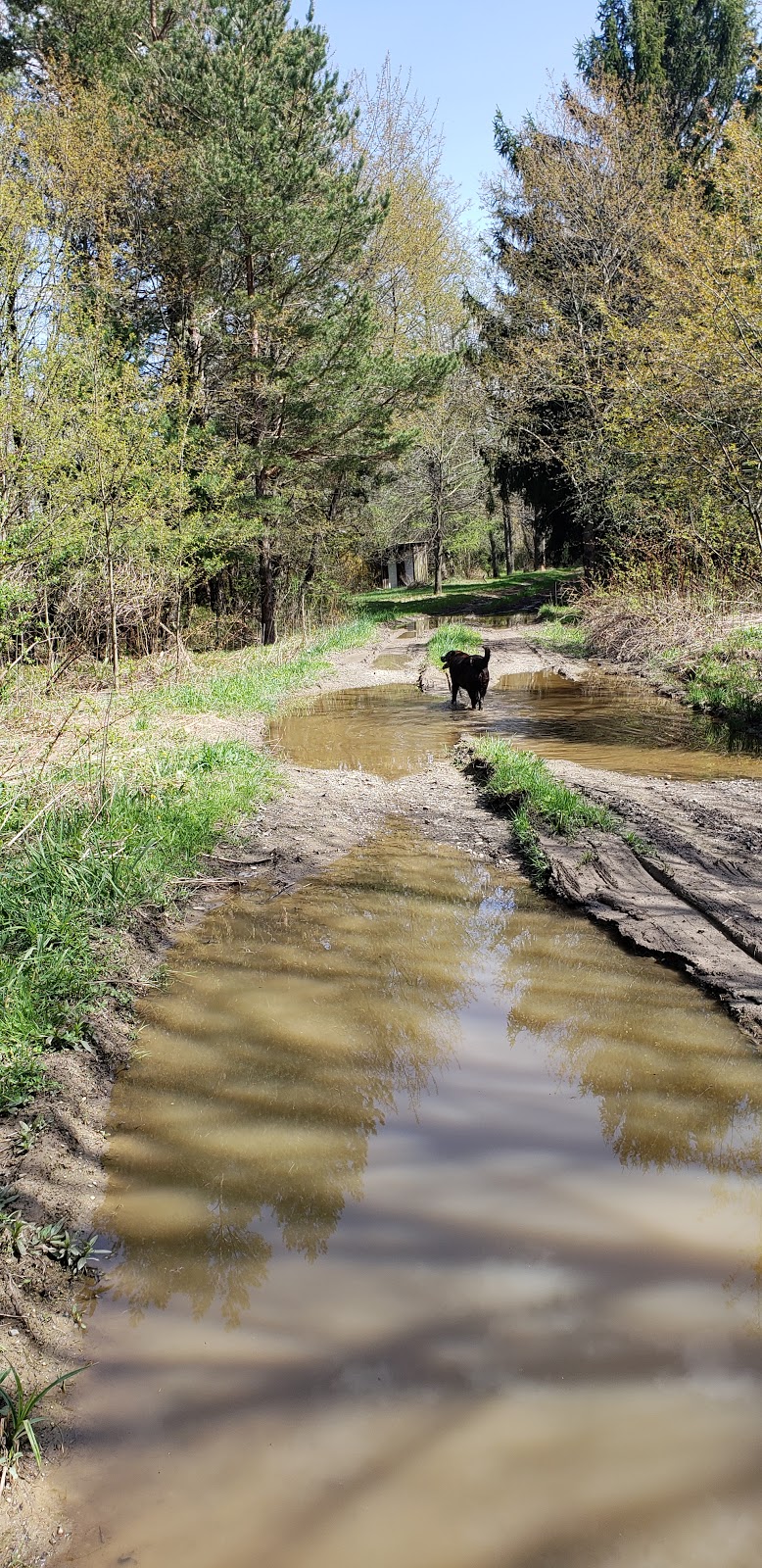 Beauty View Farm | 7356 Snyder Hill Rd, Cattaraugus, NY 14719, USA | Phone: (716) 474-3942