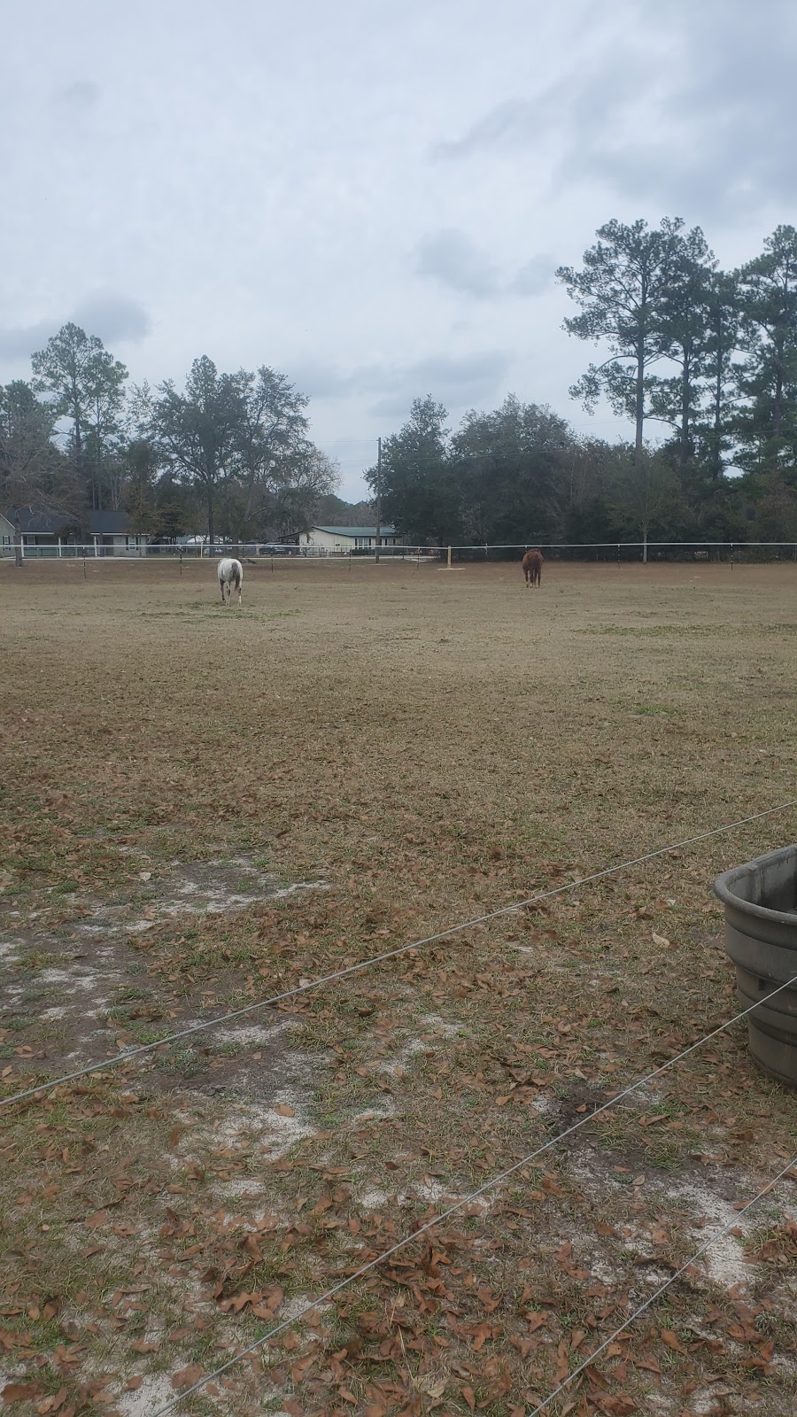 EM Equine Service | 700 Pinkney Dr, Folkston, GA 31537, USA | Phone: (919) 497-2980