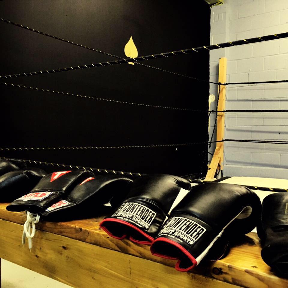 Golden Aces Boxing Academy | 10710 York Rd, Cockeysville, MD 21030, USA | Phone: (410) 972-5121