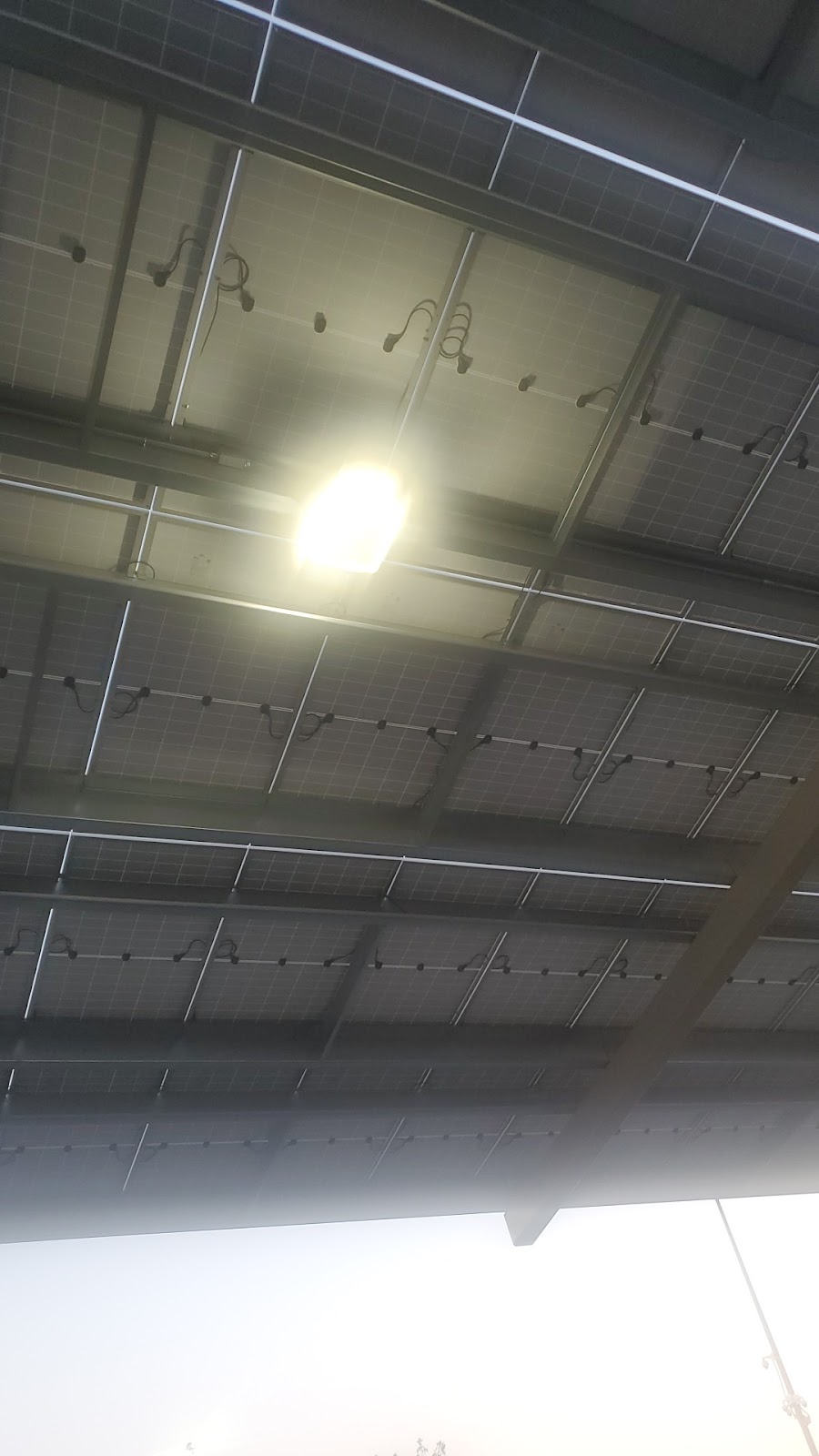 DA TRAPP | 4675 Watt Ave, North Highlands, CA 95660, USA | Phone: (916) 239-8567