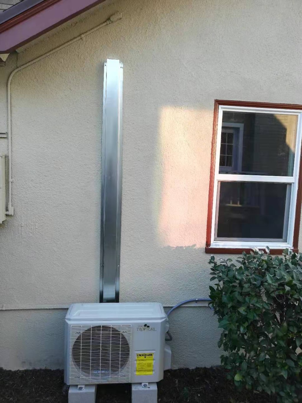 Golden Tree Import & Export Inc. | 4359 Temple City Blvd, Temple City, CA 91780, USA | Phone: (626) 448-4088