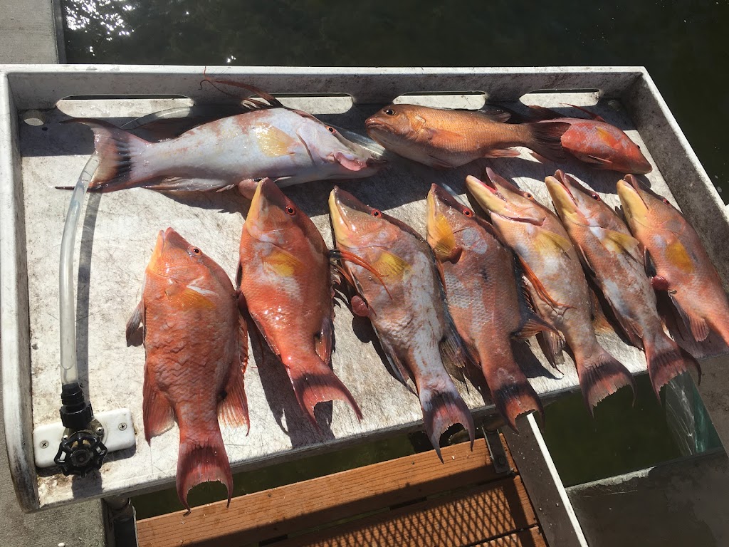 Tailing Tales Fishing Charters | 5800 Riverview Blvd, Bradenton, FL 34209, USA | Phone: (941) 812-6640