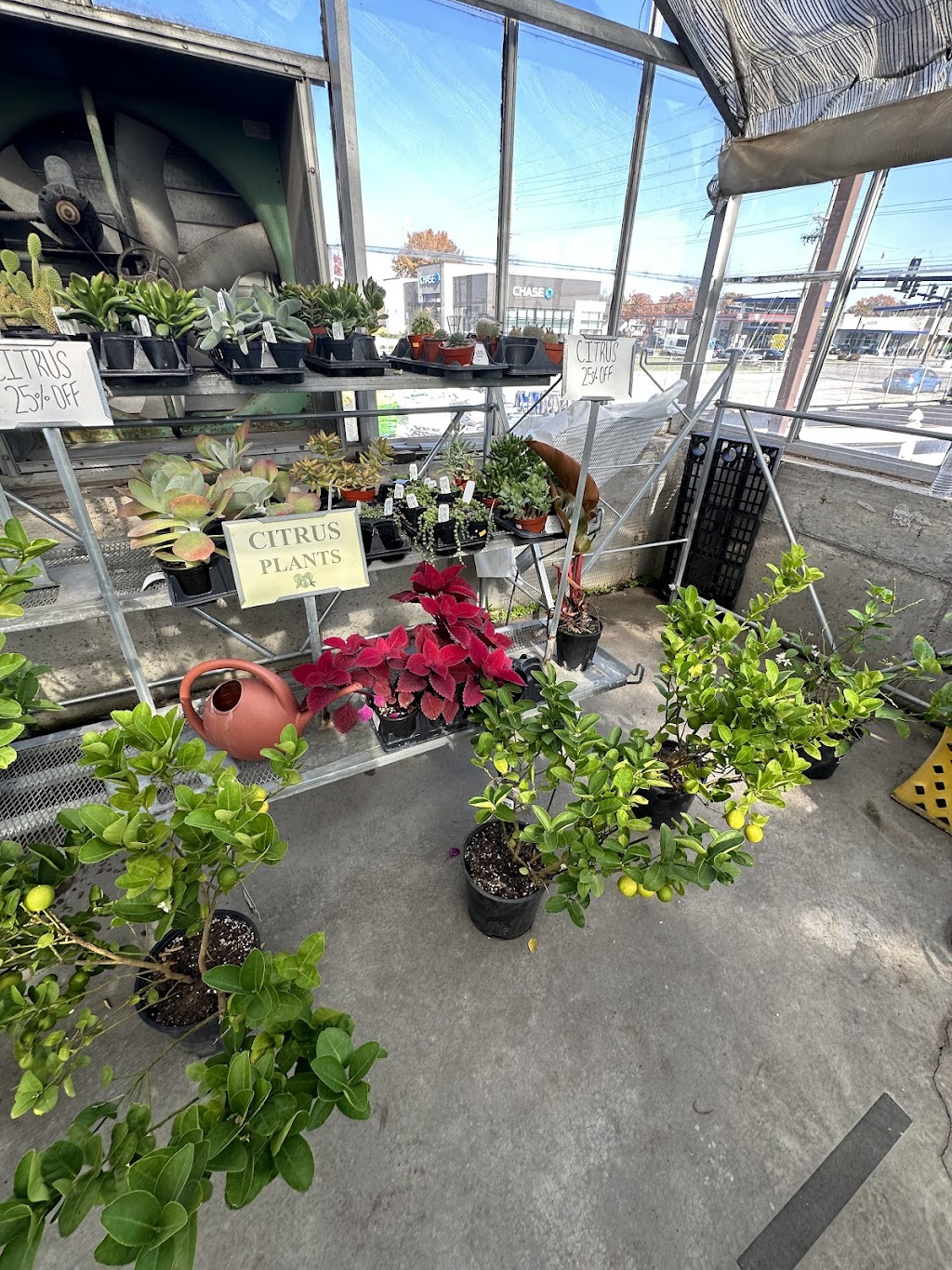 Timberwinds Nursery | 54 Clarkson Rd, Ellisville, MO 63011, USA | Phone: (636) 227-0095