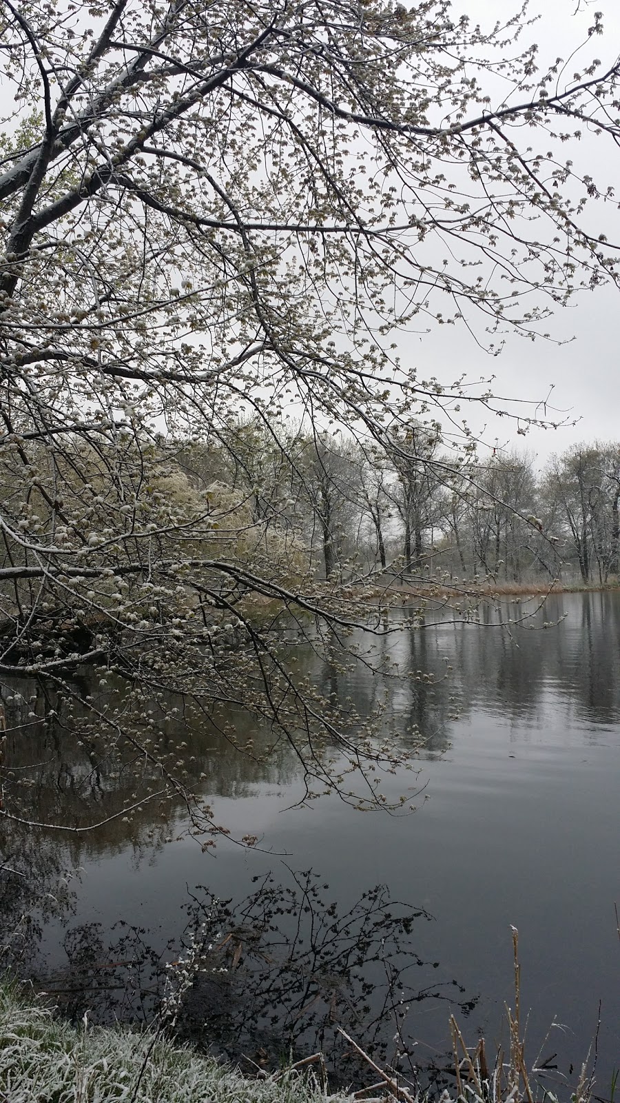 Silver Lake United Methodist | 5399 Geneva Ave N, Oakdale, MN 55128, USA | Phone: (651) 773-9397