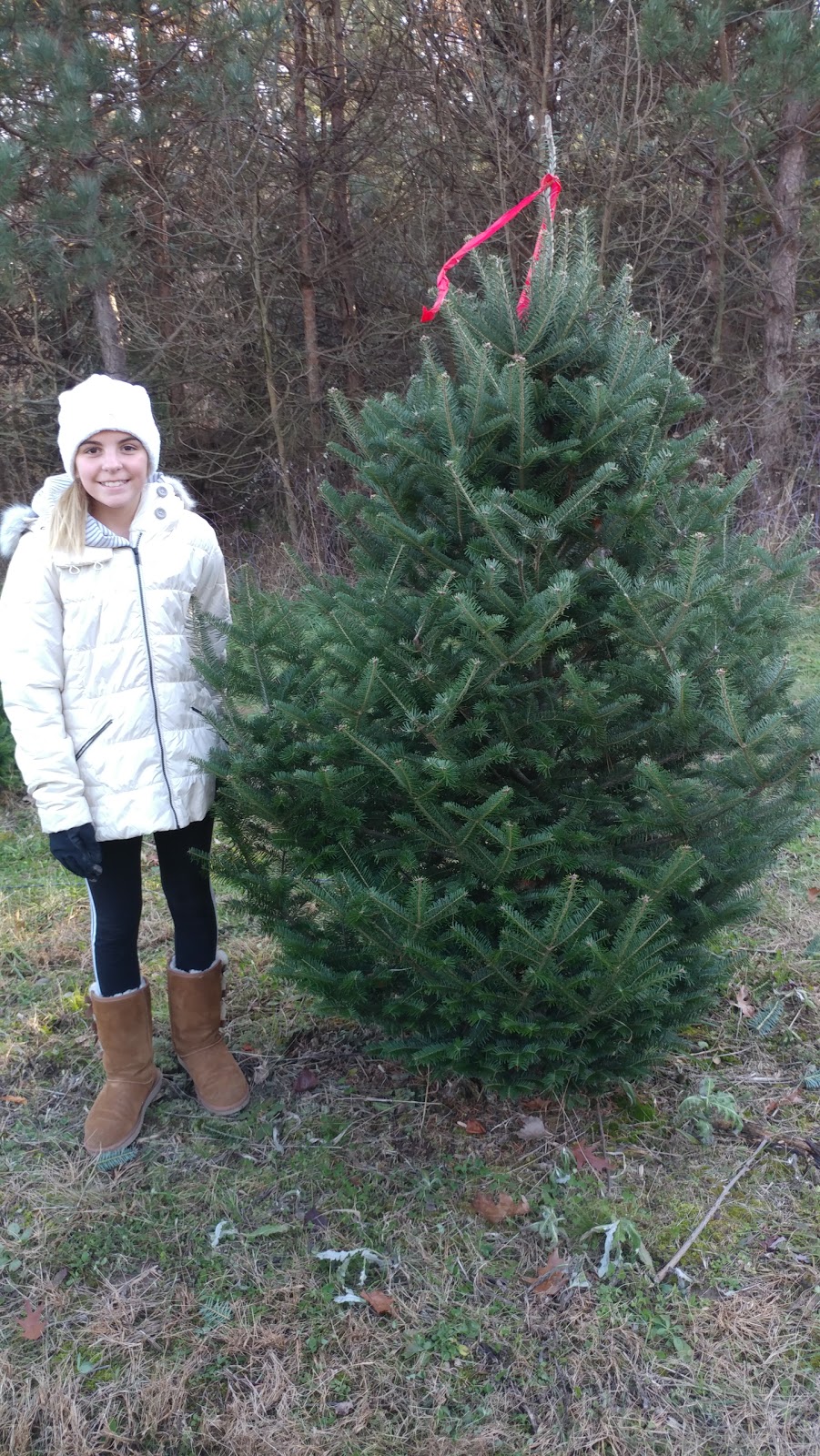 Treasters Tree Farm | 13184 Gore Orphanage Rd, Wakeman, OH 44889, USA | Phone: (614) 230-7031