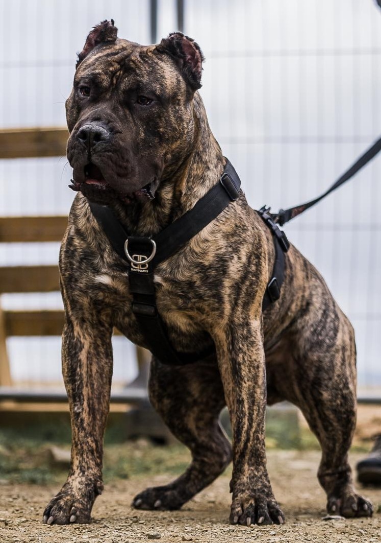 Louisiana Welcome Center | 41300 Crawford Landing Rd, Slidell, LA 70461, USA | Phone: (985) 646-6451 Louisiana Welcome Center | 41300 Crawford Landing Rd, Slidell, LA 70461, USA | Phone: (985) 646-6451