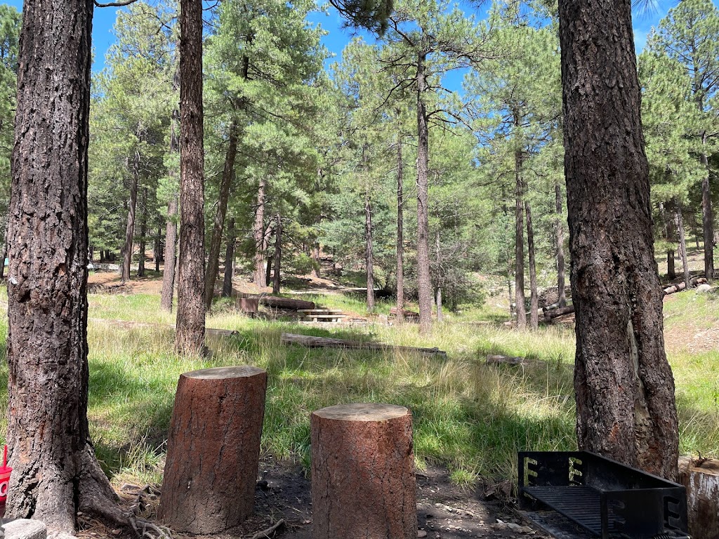 Spencer Canyon Campground | Mt Lemmon, AZ 85619, USA | Phone: (520) 576-1492