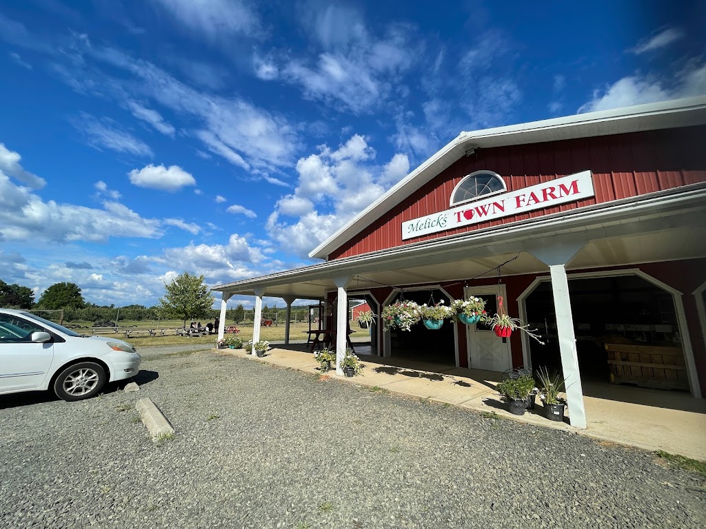 Melicks Town Farm - Califon Orchards | 472 County Rd 513, Califon, NJ 07830, USA | Phone: (908) 832-2905