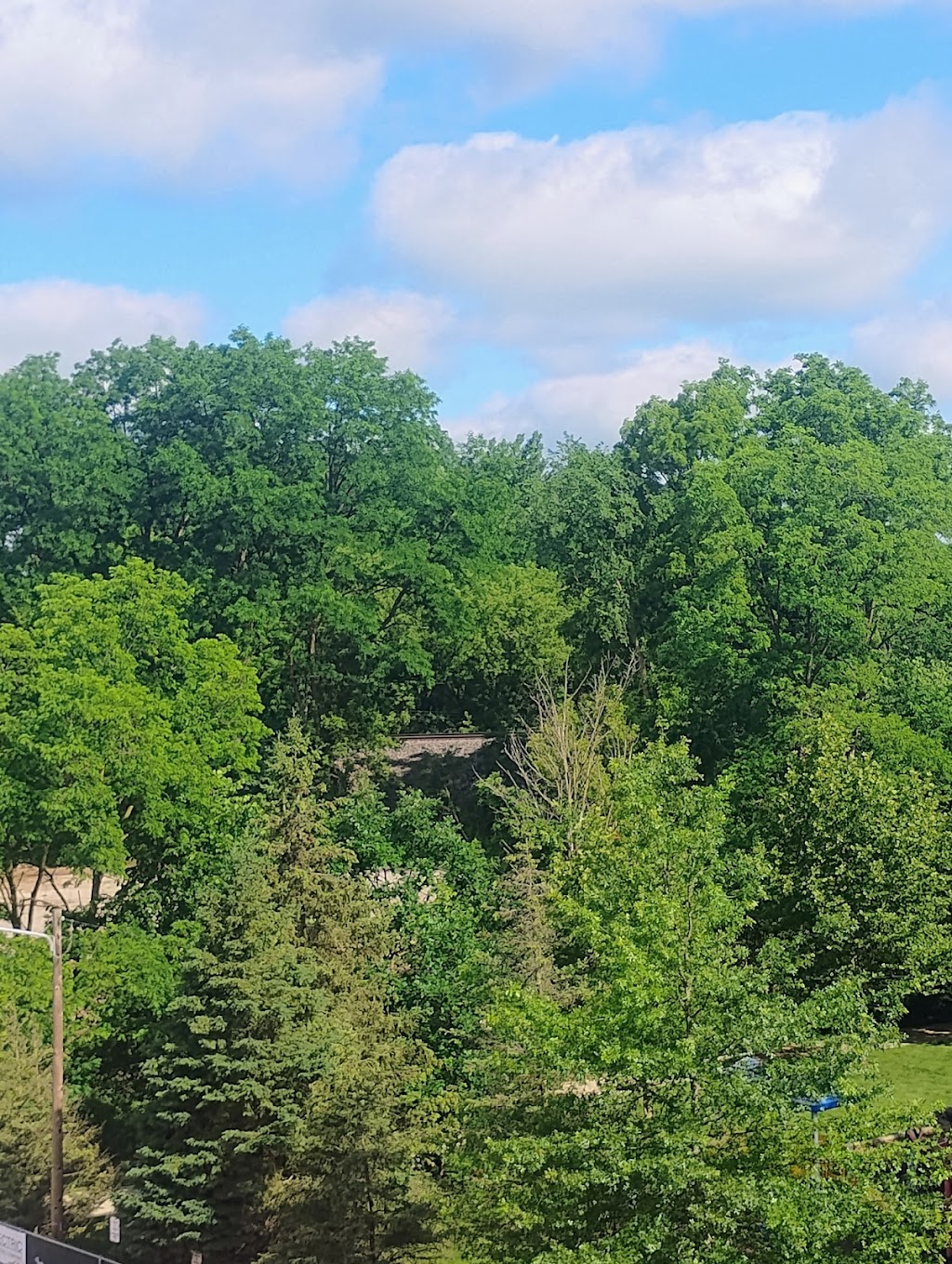 Washtenaw County Sheriffs Office Dexter Community Station | 8140 Main St, Dexter, MI 48130, USA | Phone: (734) 426-0228