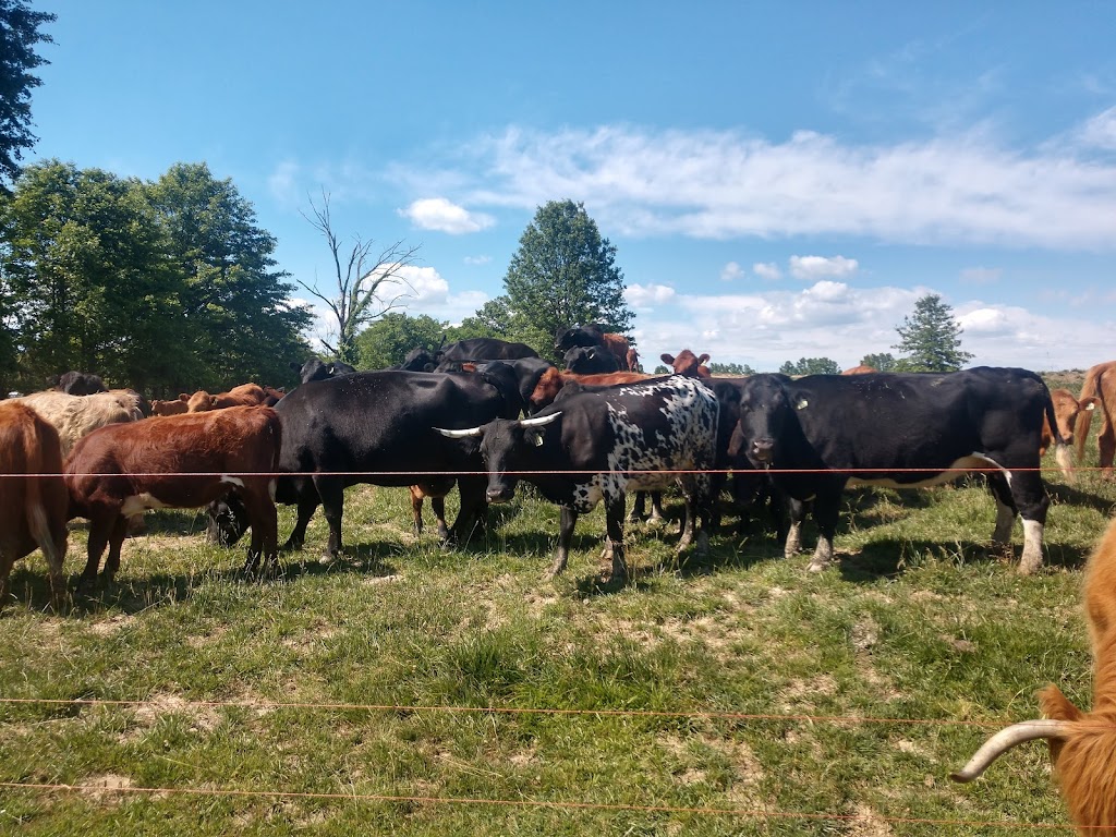 Emmett Ridge Farm | 1805 Lindale Nicholsville Rd, Amelia, OH 45102, USA | Phone: (513) 491-4997