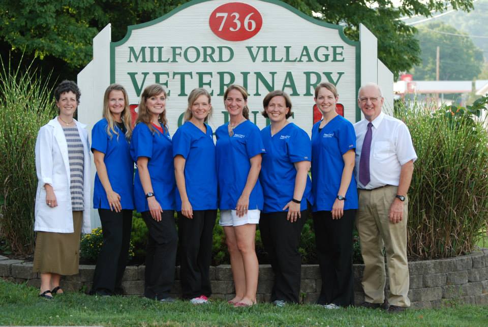 Milford Village Veterinary Clinic | 736 Lila Ave, Milford, OH 45150, USA | Phone: (513) 831-1882