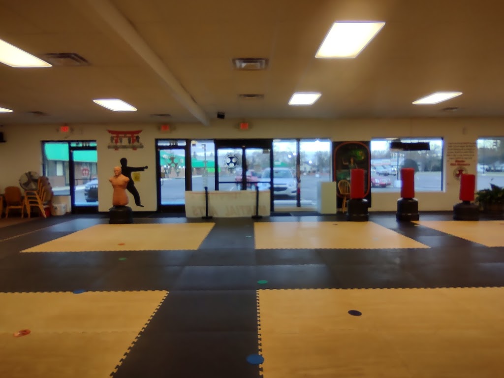 Belleville Martial Arts Institute | 785 Sumpter Rd, Belleville, MI 48111, USA | Phone: (734) 391-8615