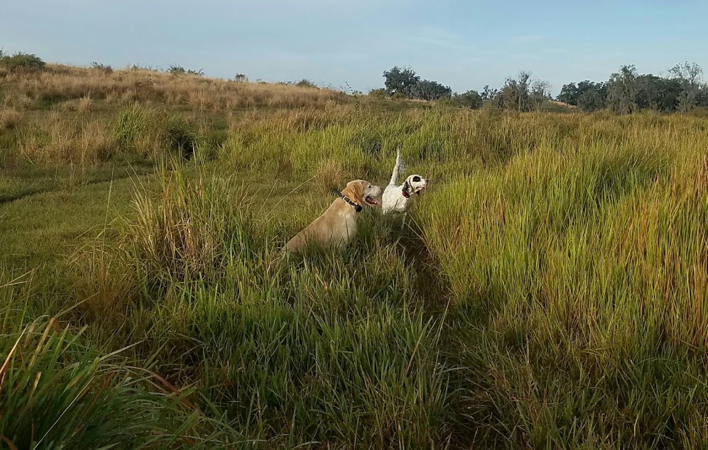 SPORTSMANS PRESERVE Quail Pheasant & Chukar Hunting in Florida | 4617 Garland Branch Rd, Dover, FL 33527, USA | Phone: (813) 956-1315