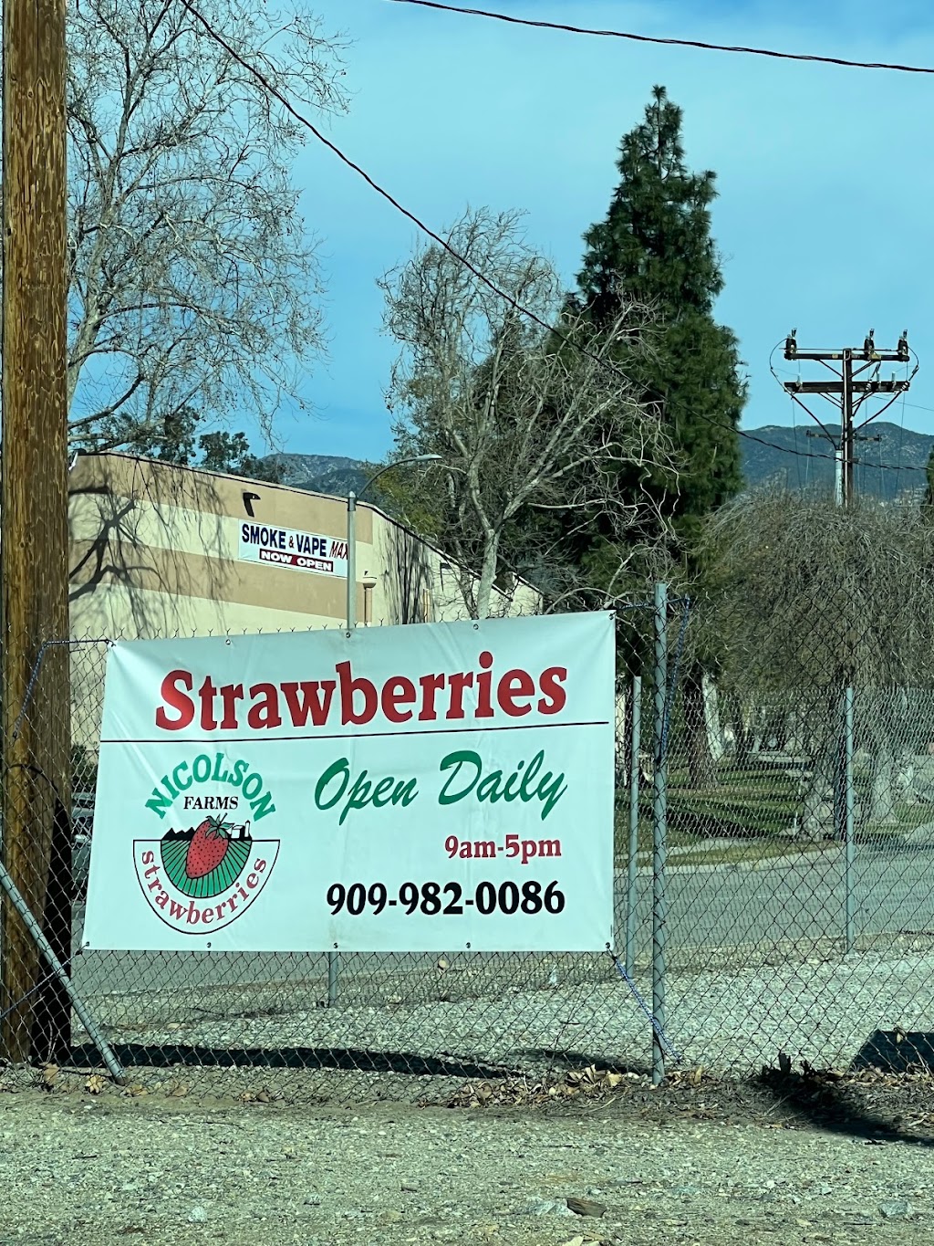 Nicolsons Strawberries | 8112 Foothill Blvd, Rancho Cucamonga, CA 91730, USA | Phone: (909) 982-0086