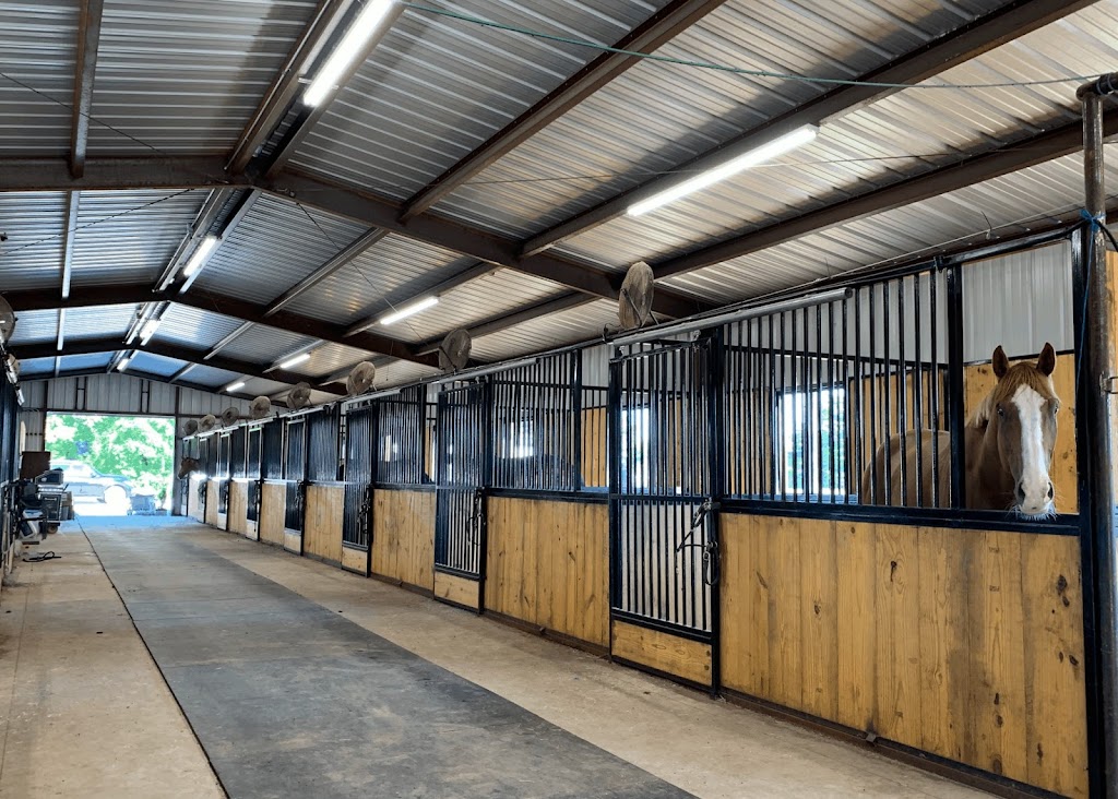 Lancaster Hill Stables | 8696 Co Rd 133, Celina, TX 75009, USA | Phone: (719) 353-7850