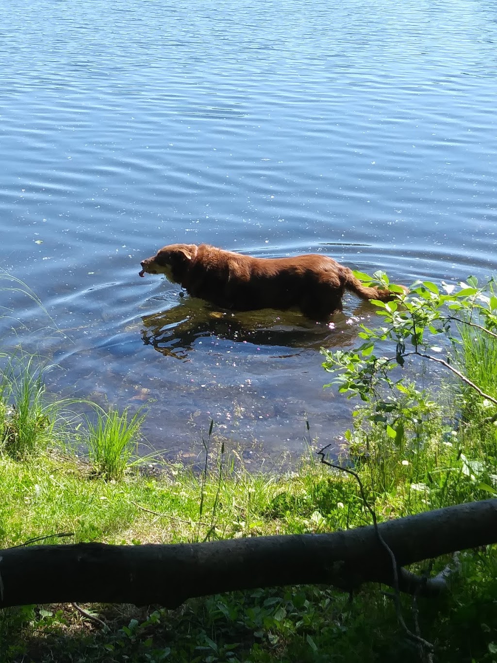 Meadow Lakes Christian Center | 1040 Pittman Rd, Wasilla, AK 99623, USA | Phone: (907) 357-8085