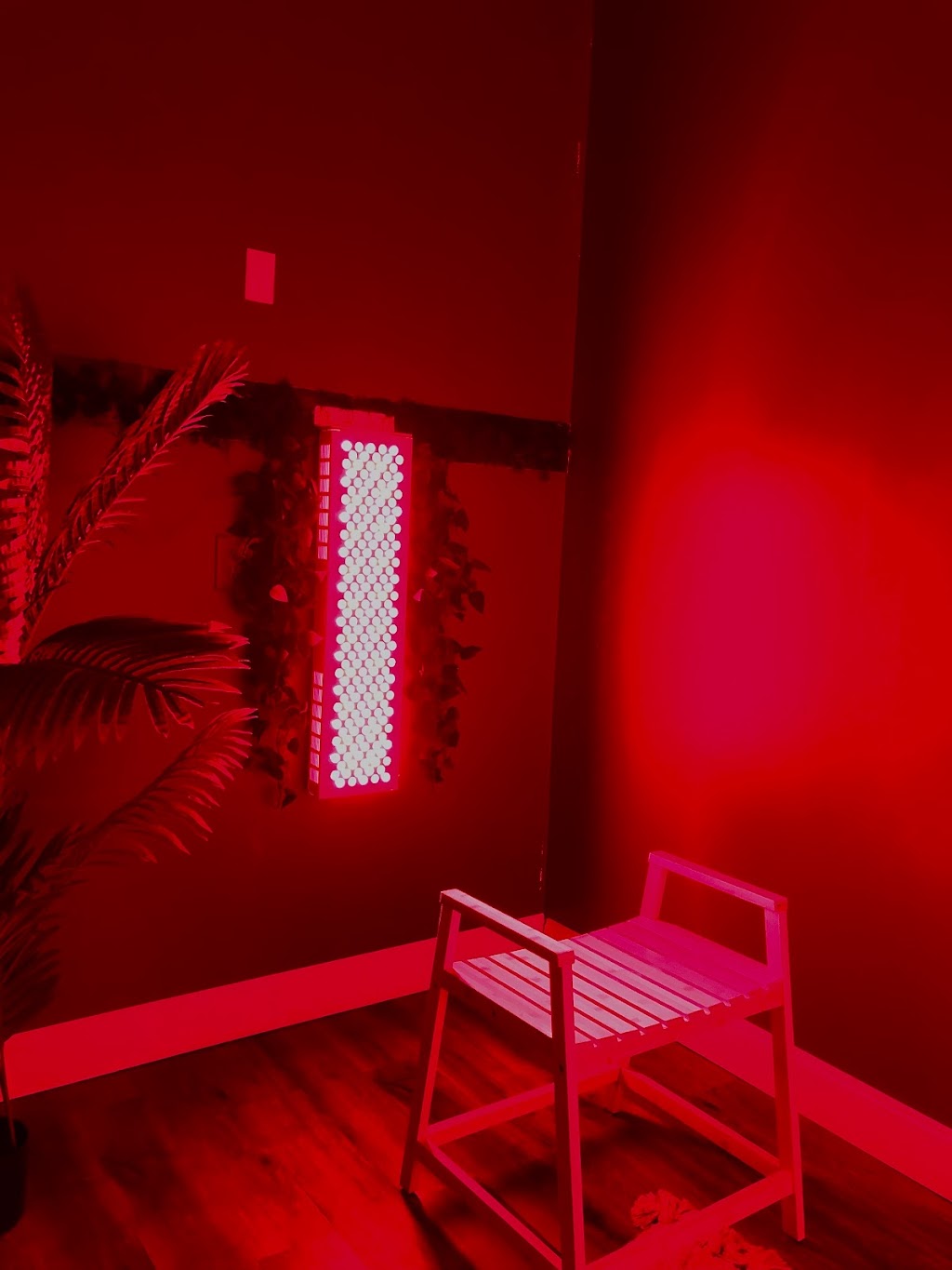 Aesthetics by Lynnea | 62 Wood Rd, Chester, NY 10918, USA | Phone: (845) 662-2481