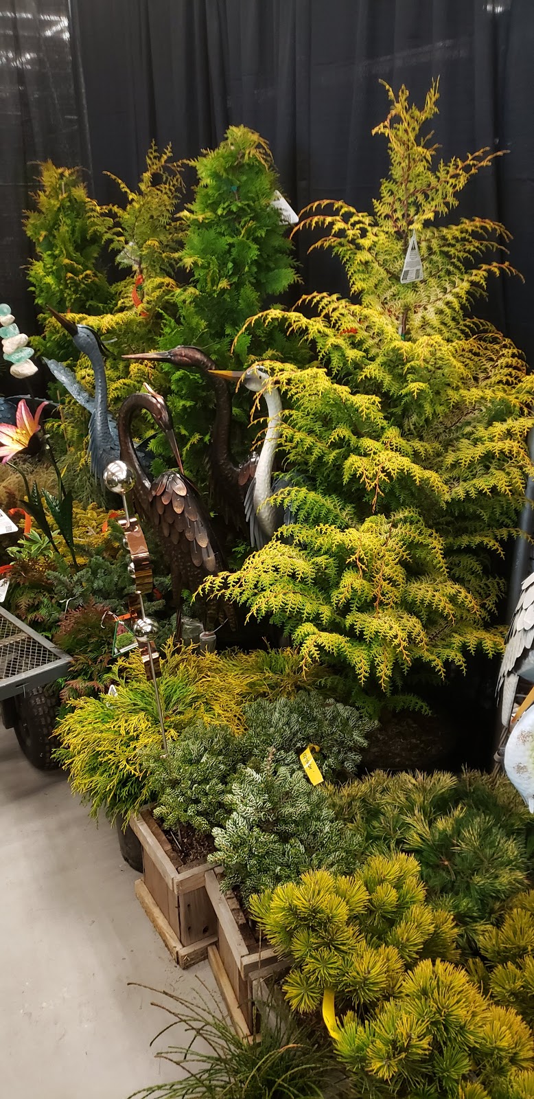 French Prairie Perennials | 14936 3rd St NE, Aurora, OR 97002, USA | Phone: (503) 679-2871