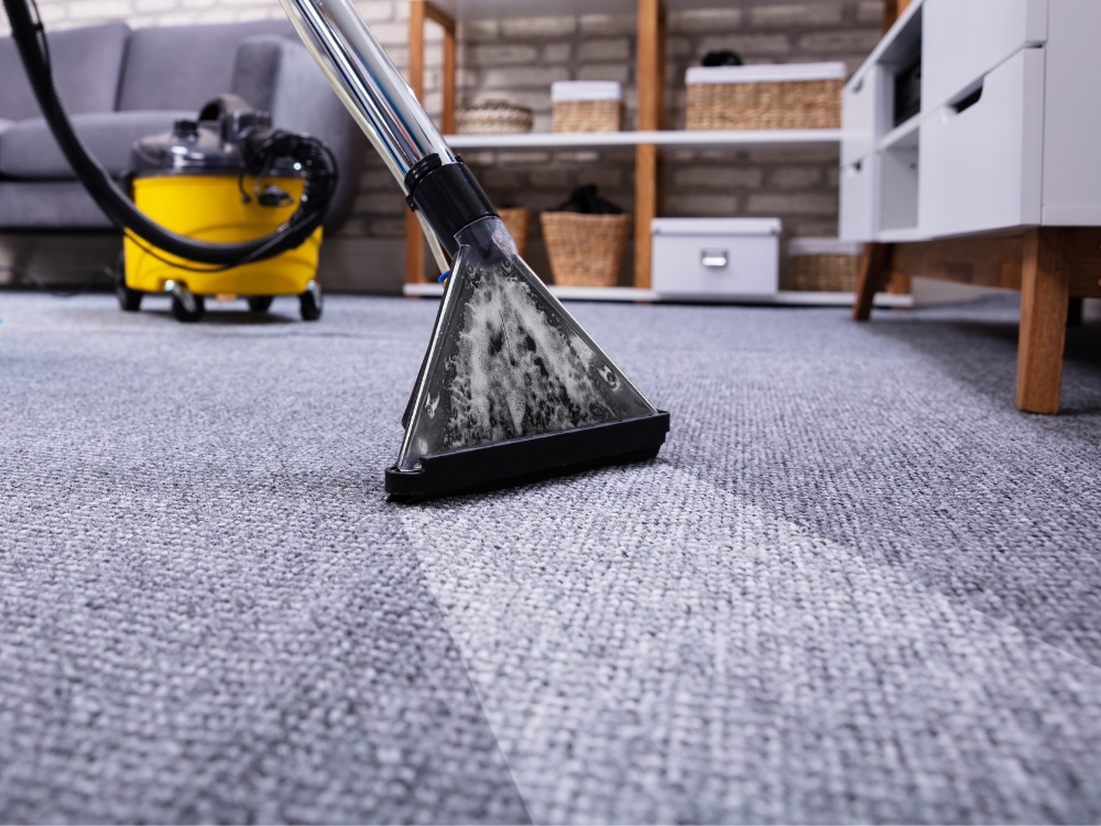 Ellis Carpet Cleaning | 1225 Franklin Ave, Garden City, NY 11530, USA | Phone: (631) 212-0900