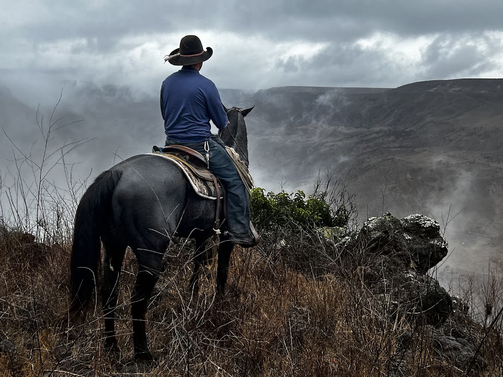 Baja by Horse | Rosarito, 22765 La Misión, B.C., Mexico | Phone: (760) 715-4639