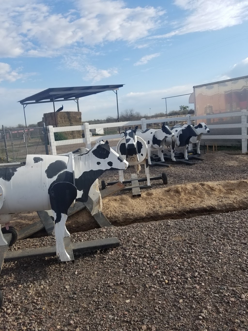 Crows Dairy Inc. | 11300 S Dean Rd, Buckeye, AZ 85326, USA | Phone: (623) 936-3355