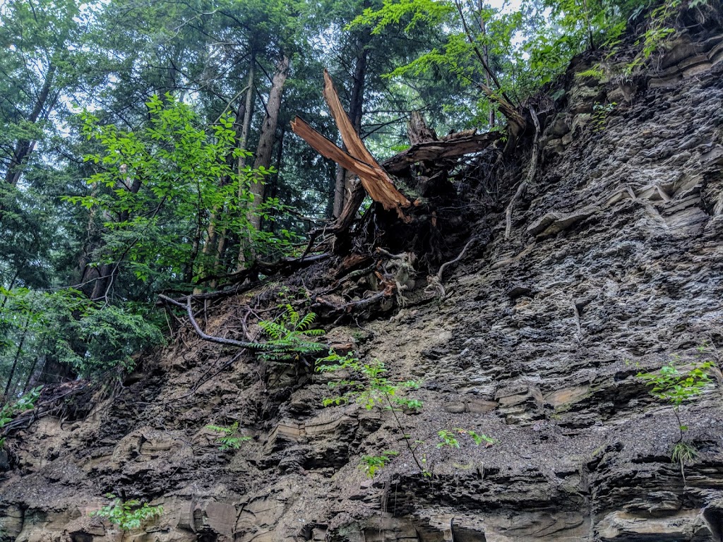 Kenneglenn Scenic and Nature Preserve | 11663 Strykersville Rd, East Aurora, NY 14052, USA | Phone: (716) 687-1225