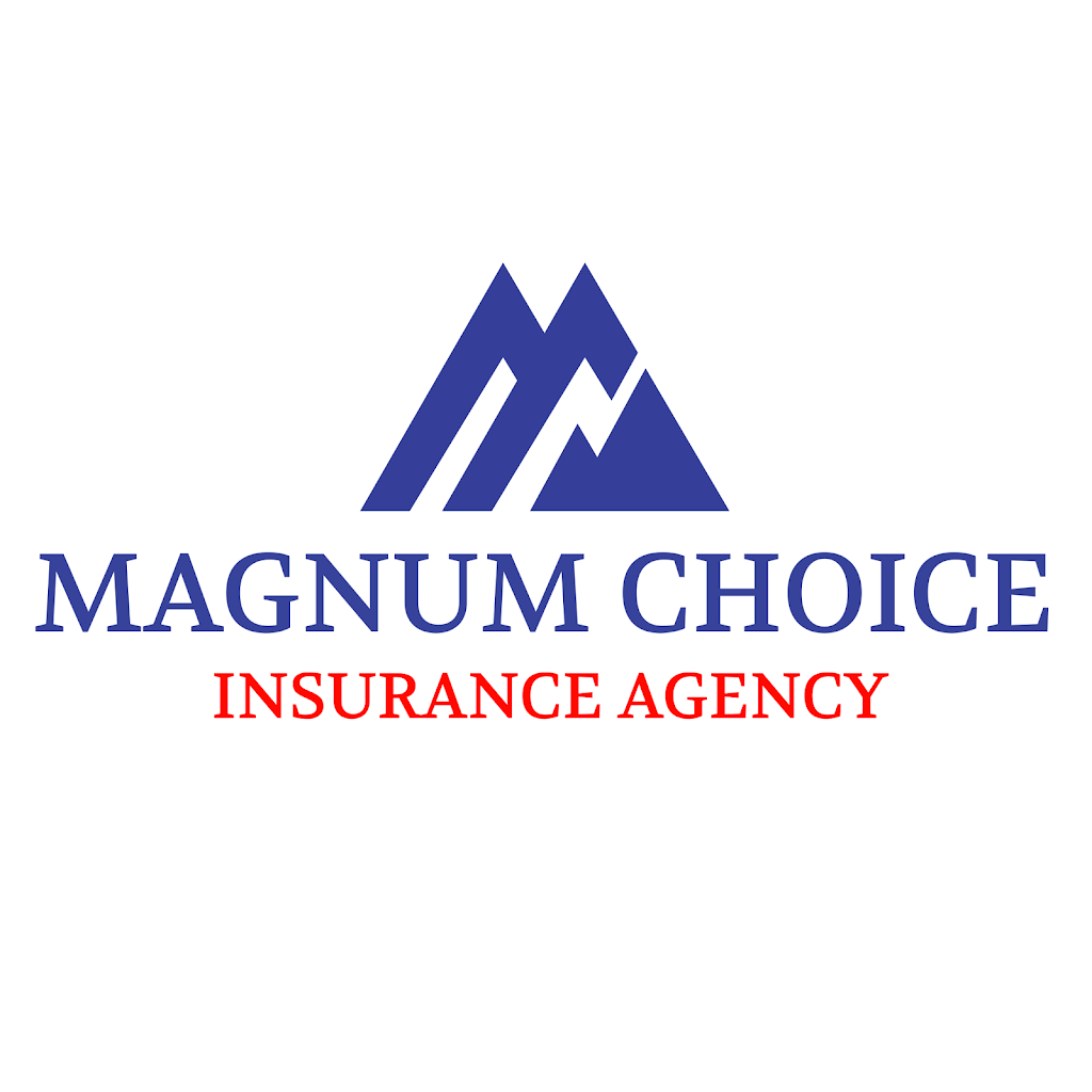 Magnum Choice Insurance Agency Inc | 5016 Tennyson Pkwy, Plano, TX 75024, USA | Phone: (972) 801-6878