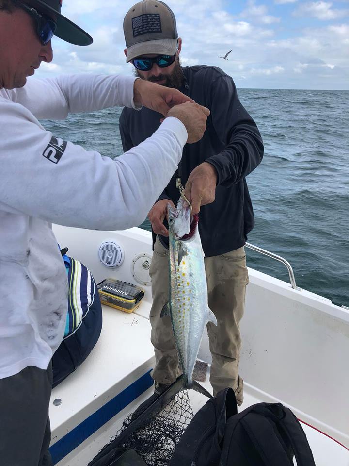 Reel Fishing Charter | 2058 Bayshore Blvd Suite 3, Dunedin, FL 34698, USA | Phone: (727) 686-9219