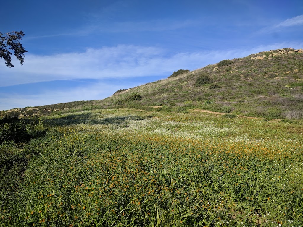 Turtle Rock Viewpoint | 19032 Turtle Rock Dr, Irvine, CA 92603, USA | Phone: (949) 724-6734