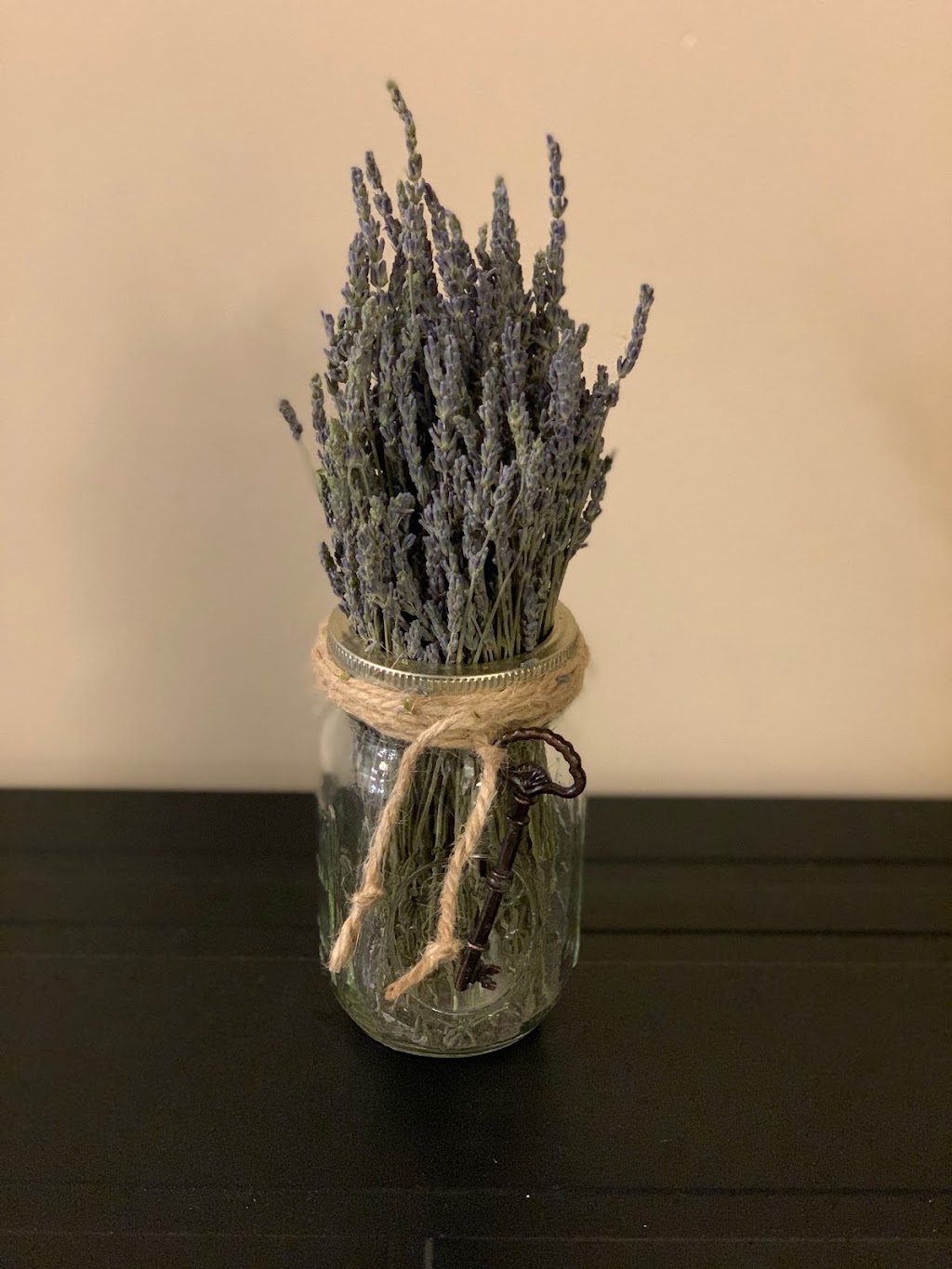 Four Sisters Farm Lavender | 6566+, SW 160th St, Douglass, KS 67039, USA | Phone: (316) 249-7614