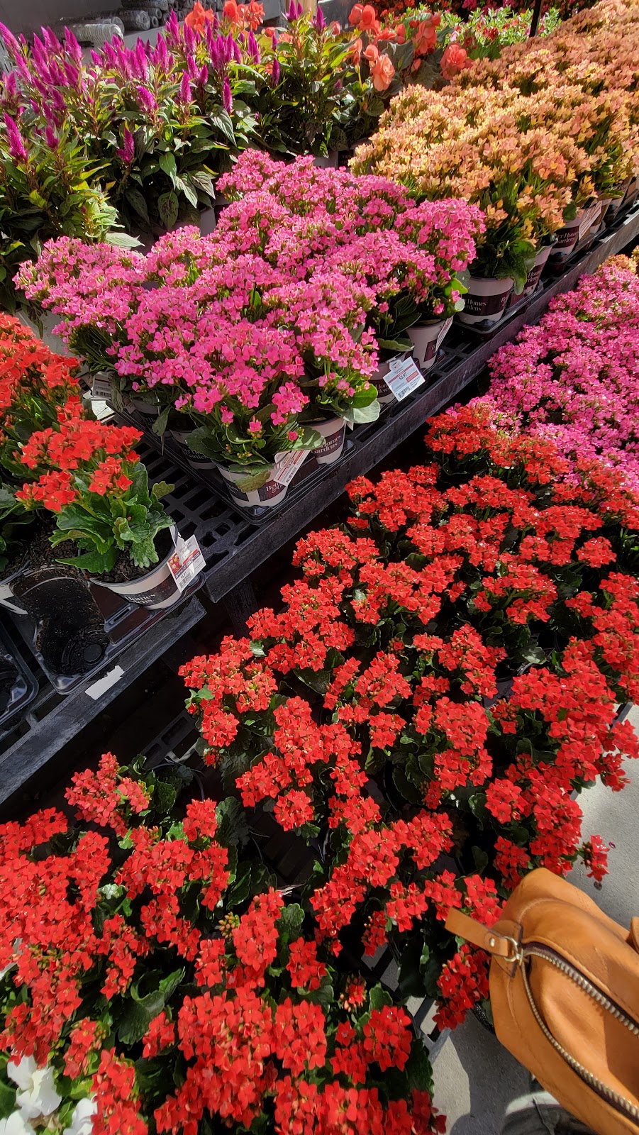 Walmart Garden Center | 1485 Commercial Way, Spring Hill, FL 34606, USA | Phone: (352) 686-0744