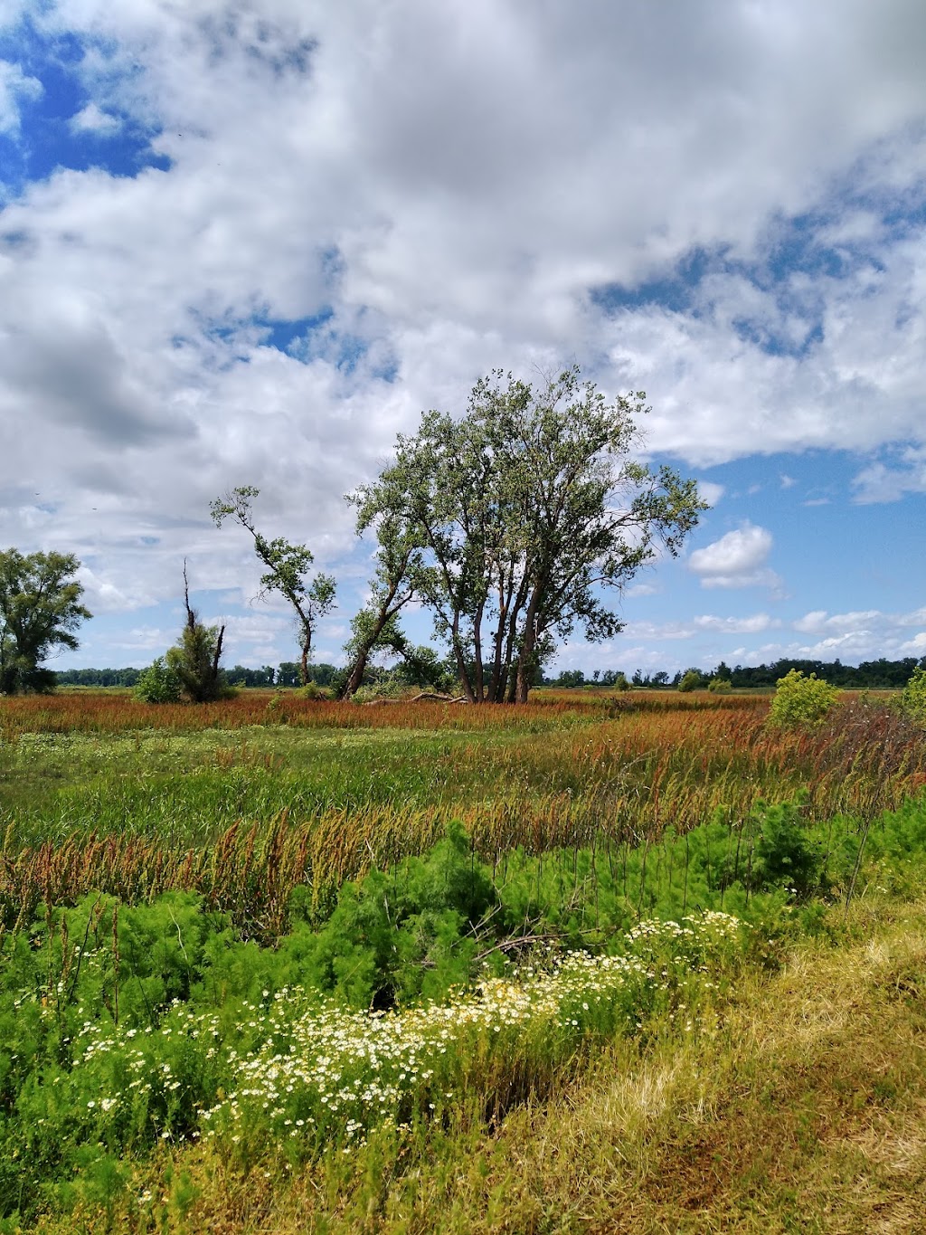 Sutter National Wildlife Refuge | 4529 Schlag Rd, Yuba City, CA 95993, USA | Phone: (530) 934-2801