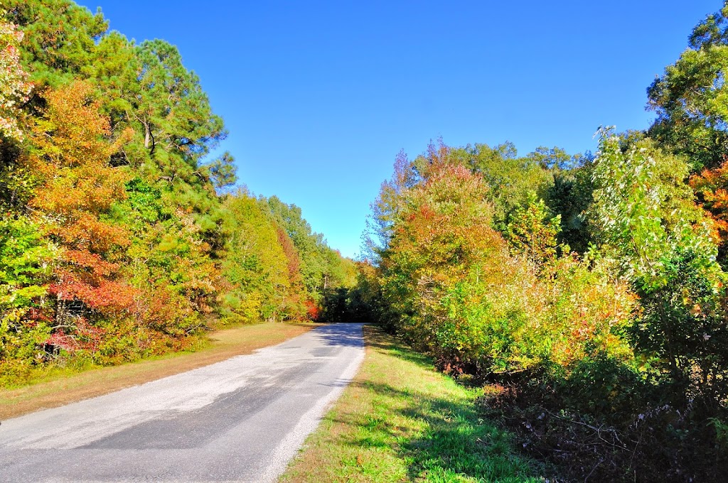 Hog Island Wildlife Management Area | Surry, VA 23883, USA | Phone: (804) 367-1000