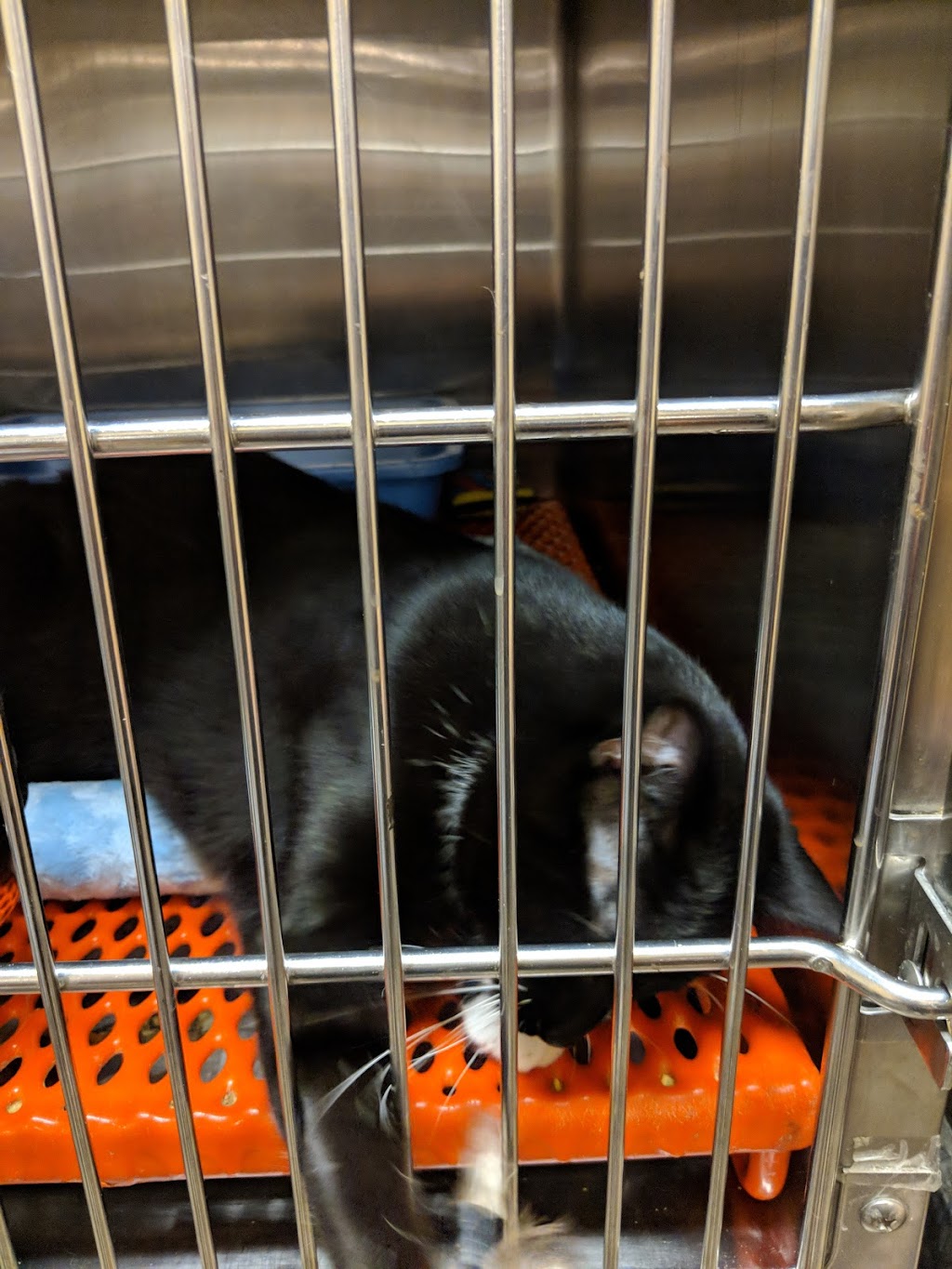 Advanced Foot Center | 1327 E Pioneer Pkwy, Arlington, TX 76010, USA | Phone: (817) 265-1595